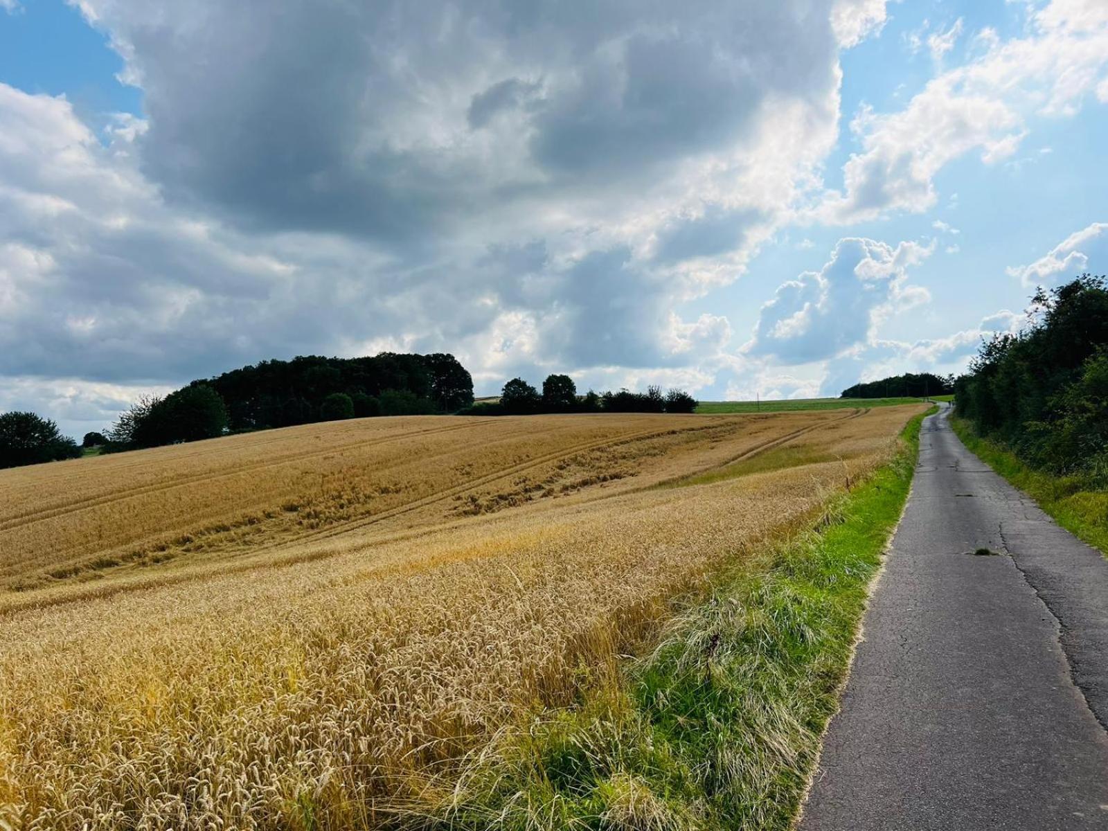 Ferienwohnung In Der Schoenen Eifel! Mechernich Eksteriør billede