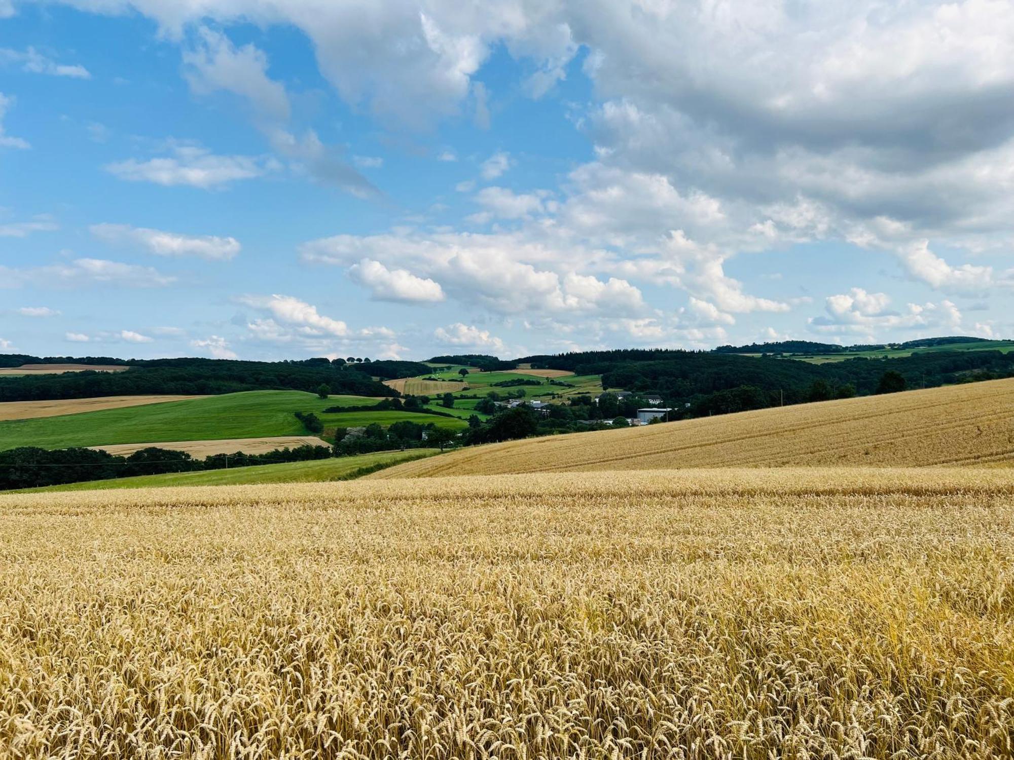 Ferienwohnung In Der Schoenen Eifel! Mechernich Eksteriør billede